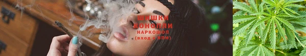 гашишное масло Алзамай