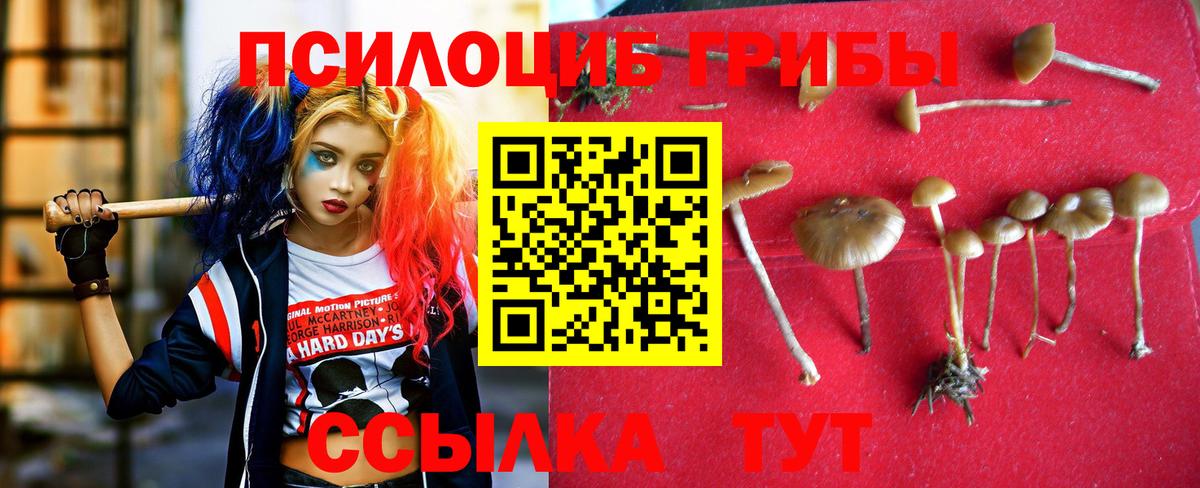 Галлюциногенные грибы GOLDEN TEACHER  Вход с VPN  Галлюциногенные грибы GOLDEN TEACHER  Нижний Тагил 