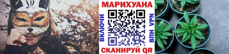 мега зеркало  Нижний Тагил  Каннабис сатива 